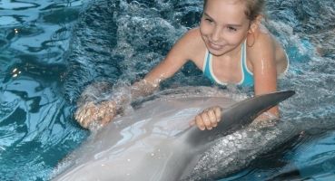 Посещение дельфинария 