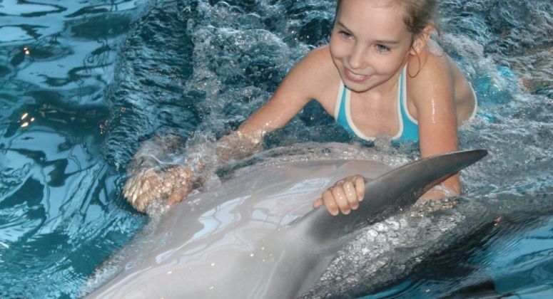 дельфинарий «Плавание с дельфинами» в г. Набережные Челны (на 21 персон)
